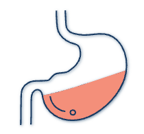 Digestion & Nutrition