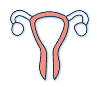 Gynaecology & Fertility