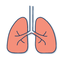 Respiratory Conditions